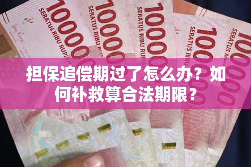 济南担保追偿期过了怎么办？如何补救算合法期限？