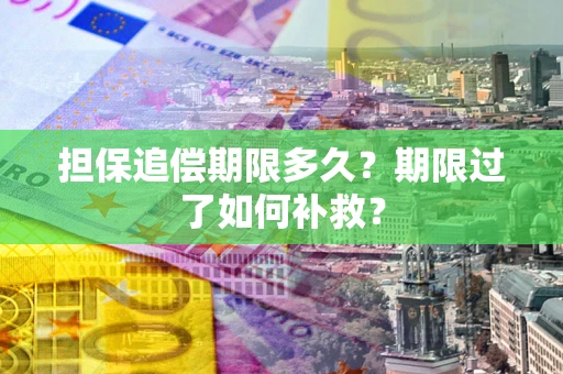 济南担保追偿期限多久？期限过了如何补救？