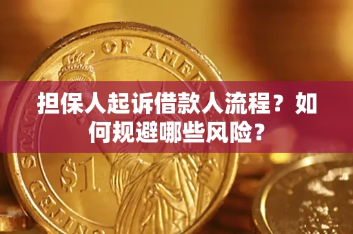 济南担保人起诉借款人流程？如何规避哪些风险？