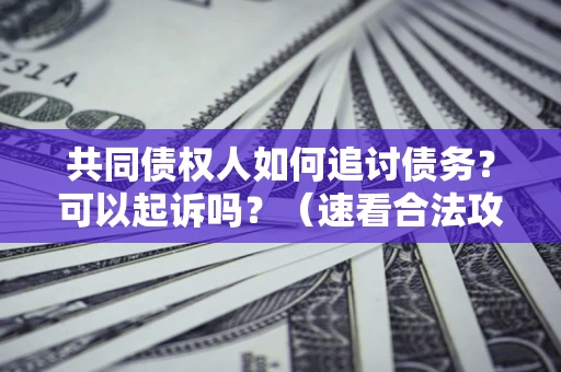 济南共同债权人如何追讨债务？可以起诉吗？（速看合法攻略）