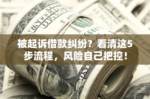 济南被起诉借款纠纷？看清这5步流程，风险自己把控！